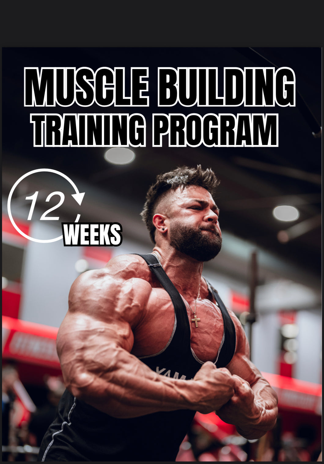 12 WEEK MUSCLE BUILDING TRAINING PROGRAM